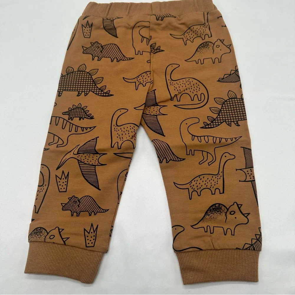 Baby Dinosaur‎ Matching Set,Fall baby outfit,pumpkin patch outfit,fall ba…